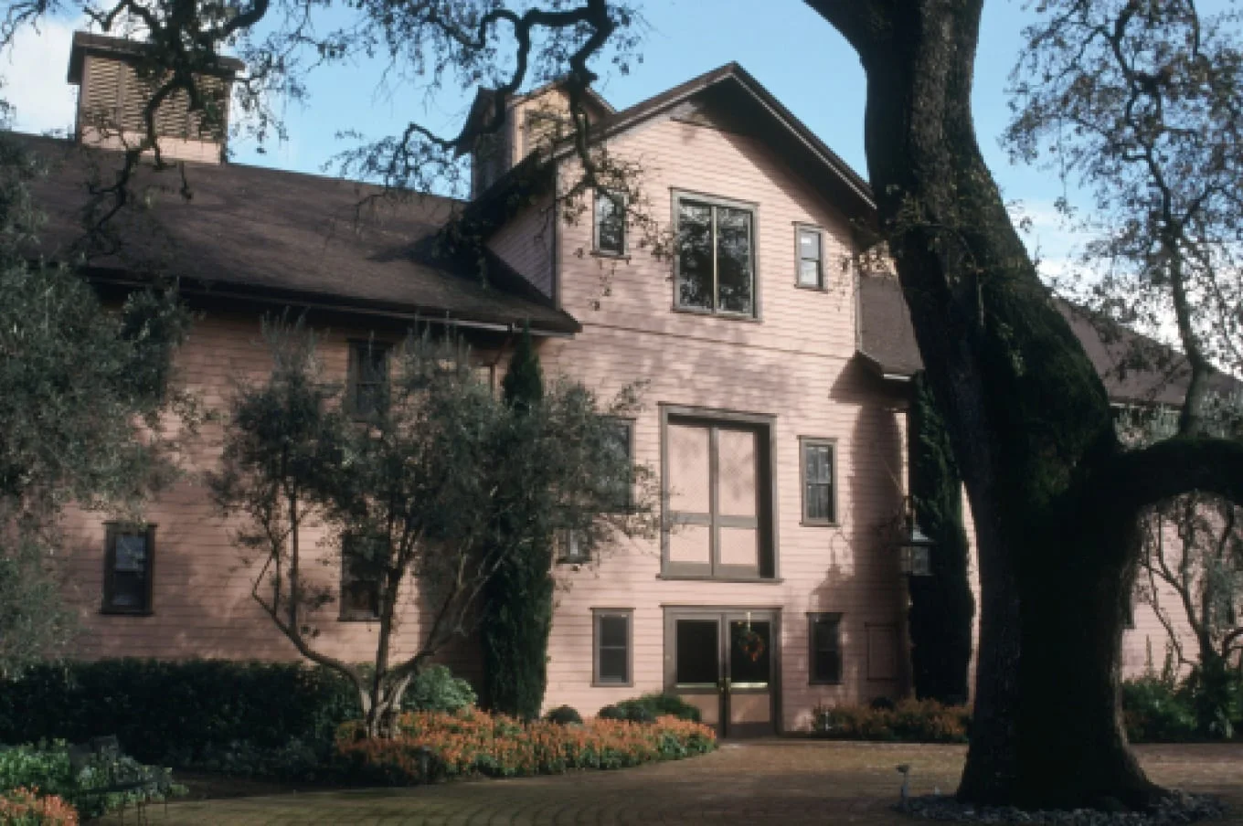 The three-storey wooden winery building under a large oak, its redwood siding painted a pale pumpkin colour.