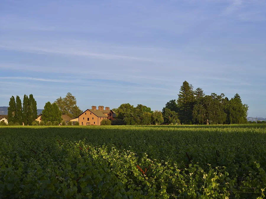 The estate seen across the vineyard rows, the winery buildings in the middle distance under hills.